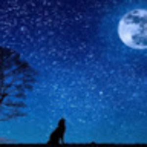 Meet your Posher, Clara